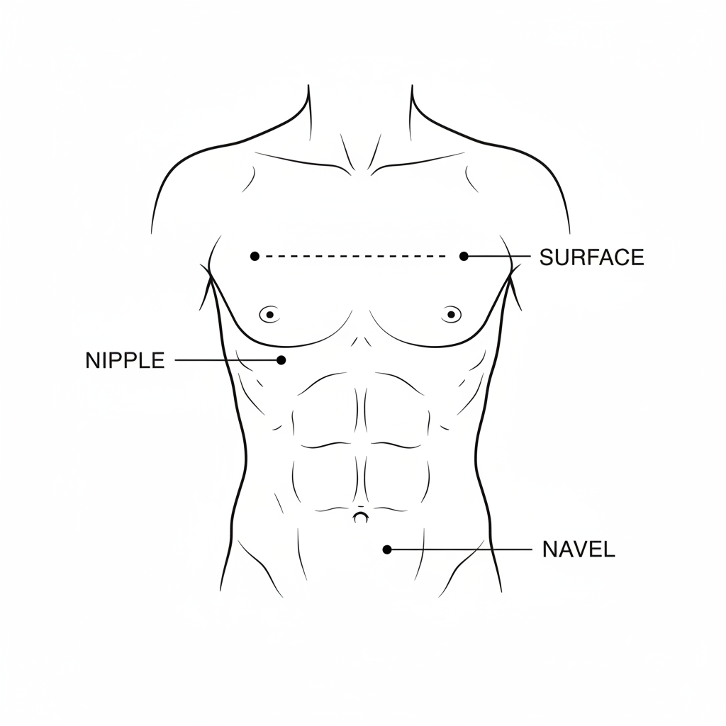 Body piercing positions diagram — Surface, Nipple, Navel